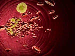 Cegah Bahaya Kolesterol Tinggi dengan Minyak Kutus Kutus