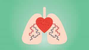 Mujarabnya Minyak Kutus Kutus dalam Mengatasi Hipertensi