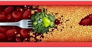 Reseller Kutus Kutus Banda Aceh yang Membantu Jaga Kadar Kolesterol