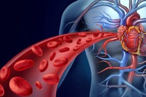 Tempat Jual Kutus Kutus Medan untuk Solusi Sirkulasi Darah yang Lancar