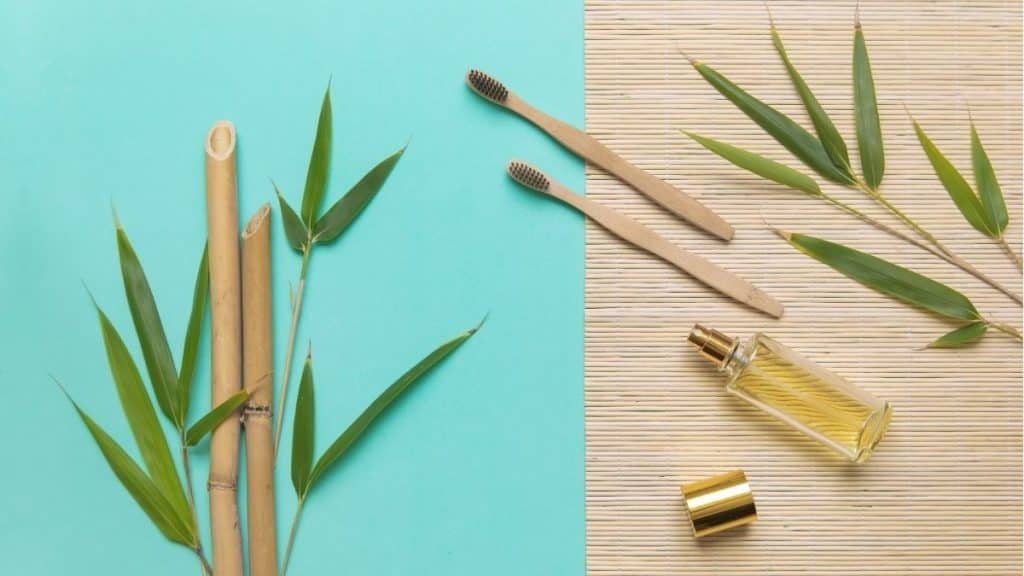 Bambu Korea Punya Segudang Manfaat Untuk Kesehatan