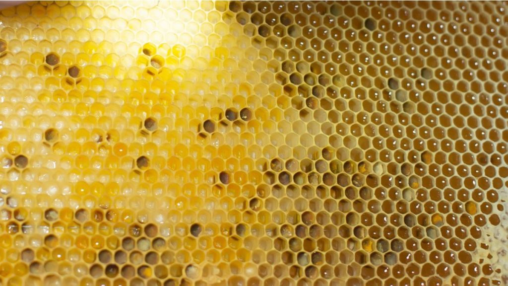 Beragam Manfaat Baik dari Honeycomb
