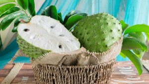 Kandungan Buah Sirsak Yang Baik Untuk Kesehatan